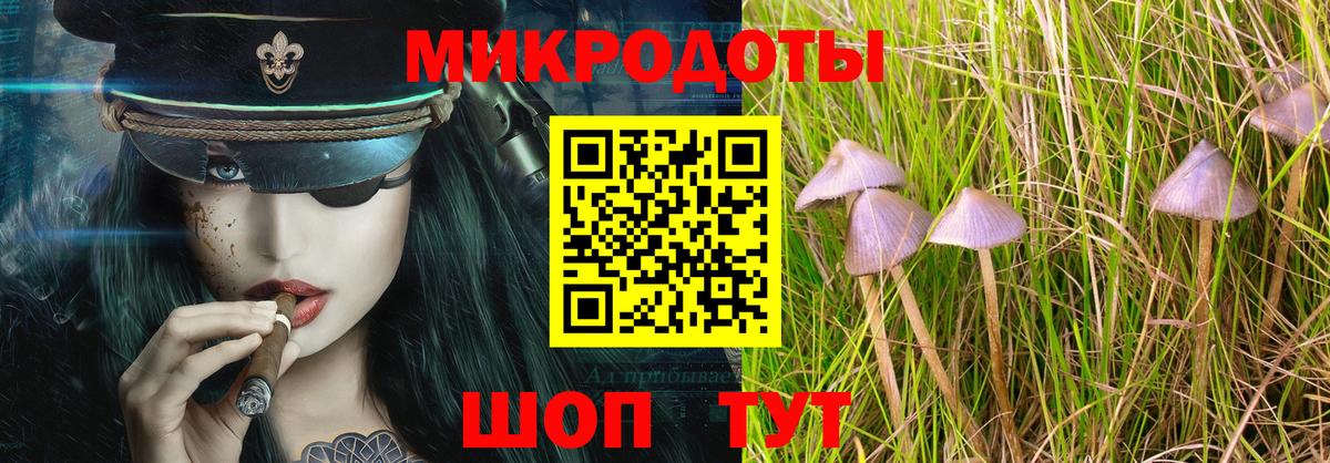 Галлюциногенные грибы Cubensis  Вход с VPN  Альметьевск 