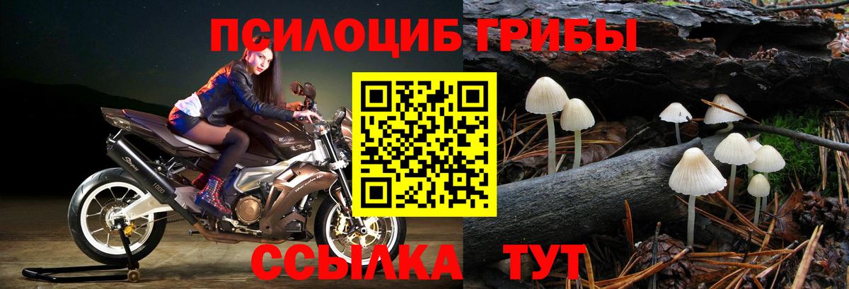 Галлюциногенные грибы MAGIC MUSHROOMS Альметьевск